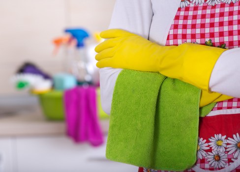 Clean oven interior by Zara Cleaners